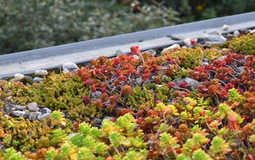 the cost of Calmore green roof installation